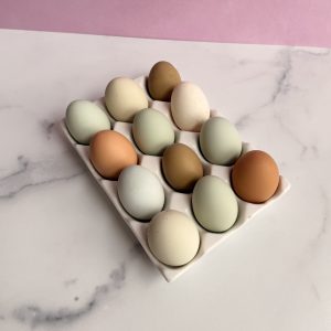 Rainbow colored eggs from the Dover Dollhouse in Dover NH